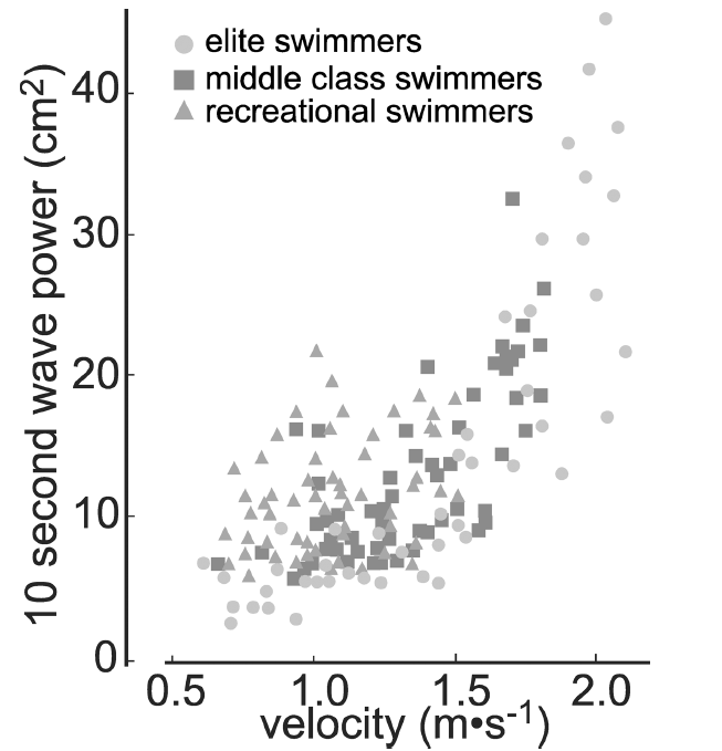 A hullám magassága (amplitúdó) az úszás sebességétől és a technikai