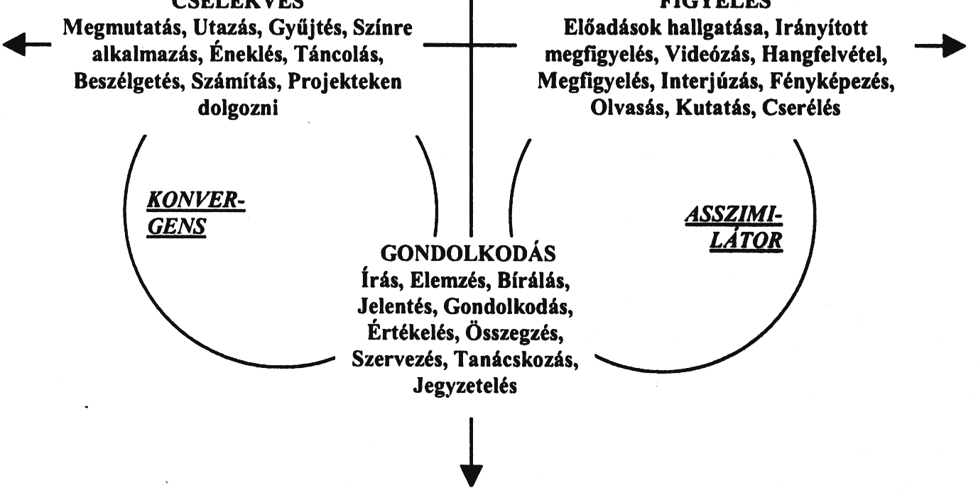 E sajátosságok nemcsak a tanulásnál általában, hanem a problémamegoldási képesség fejlesztése szempontjából is jelentős tényezők.