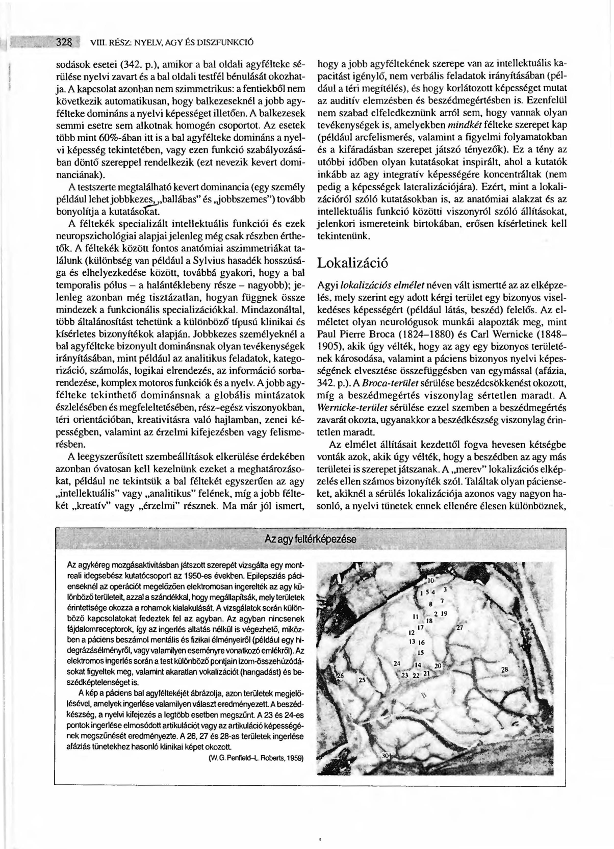 328 VIII. RÉSZ: NYELV, AGY ÉS DISZFUNKCIÓ sodások esetei (342. p.), amikor a baloldali agyfélteke sérülése nyelvi zavart és a baloldali testfél bénulását okozhatja.