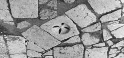 vagy függõlegesen, feltehetõen dugattyús szivattyúval kiemelt víz Gorsium, Ménfõcsanak, Intercisa: kútból ciszternából. (37. kép) Aquincum III: helytartói palota regionális vízmû víztoronnyal.