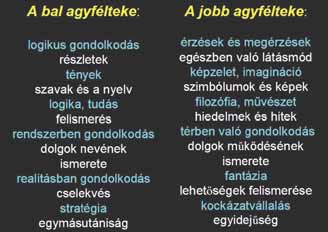 Hát rány ban az előny A szociokulturálisan hát rá nyos te het sé ge sek 99 12. áb ra. A két agyfélteke eltérő módon vesz részt a gondolkodásban A lo gi kai út las sú, de tu da tos.