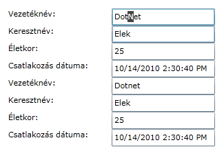 Adatkötési lehetőségek, testreszabás <TextBox Grid.Row="3" Grid.