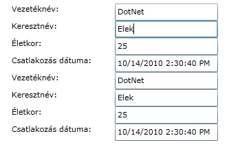 6-6 ábra: A felsőben nagy N-esre módosítom a Dotnetet 6-7 ábra: A fókusz elvesztése után nagy N-es lesz a lenti is Említés szintjén néhány szót ejtenék arról a lehetőségről is, hogy nem minden