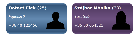 Konverterek használata public enum nem Ferfi, No ; public enum beosztas Vezeto, Mernok, Fejleszto, Tesztelo ; public class Dolgozo public string Vezeteknev get; set; public string Keresztnev get;