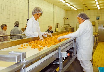 igényei szerint. Az alapszint szabályozása újabban kiegészül az úgynevezett emelt szinttel, ahová a különleges, a prémium kategóriájú hazai termékek tartozhatnak.