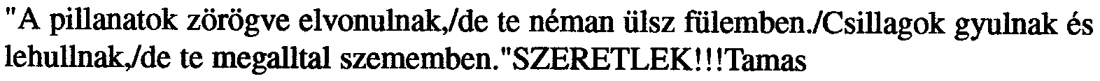 54 " A pillanatok zörögve elvonulnak,/de te néman ülsz fülemben./csillagok gyulnak és lehullnakjde te megantal szememben."szeretlek!