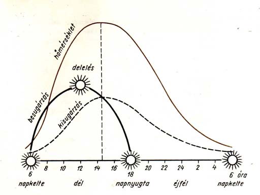 4. ábra. A hőmérséklet napi menete 4 A Nap sugarai nyáron nagyobb szögben érkeznek a felszínre, mint télen. Nyáron a nappalok hosszabbak. A besugárzás felülmúlja a kisugárzást.