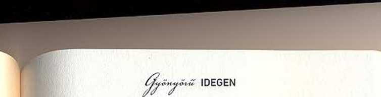 Délelőtt folyamatosan kifogásokat gyártottam magamnak, megpróbáltam bemesélni, hogy sok a dolga. De még azt sem tudtam, hogy Sarának Chloén és Bennetten kívül vannake még itt barátai.