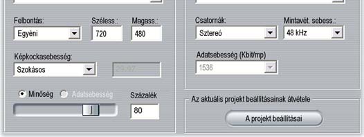 Egyéni beállításokkal minimalizálható a kimeneti fájl mérete és biztosítható megfelelő minősége, illetve a fájl felkészíthető valamely speciális célra (például interneten való terjesztésre), amely