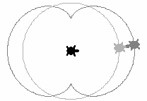 hogy a t3 által rajzolt pályagörbe a t1 és t2 teknõc forgató hatásának eredõje. A kiinduló helyzet változtatásával a cardioid (12. ábra), a nephroid (13. ábra) és az ellipszis (14.