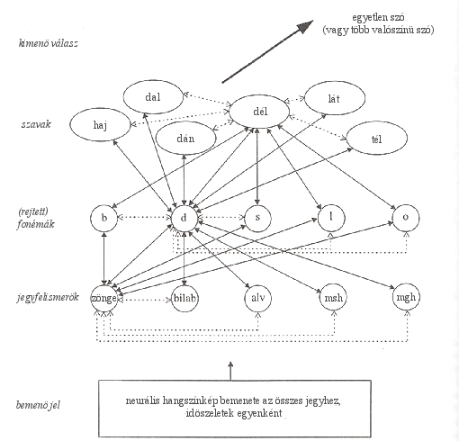 22 11. ábra: A nyommodell szintjei és kapcsolatuk. Példa a zöngésség jegy, a /d/ fonéma és a dél szó összeköttetéseire.