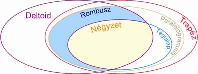 a) b) a) az ábra helyes, ábrázolja a speciális négyszögek összes csoportját; a Venn-diagram jelenlegi formájában a trapéznak az a része, amelyik deltoid, de