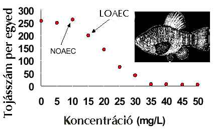 koncentráció x Expozíciós faktor = kockázat x Toxicitás kockázat felmérés pl.