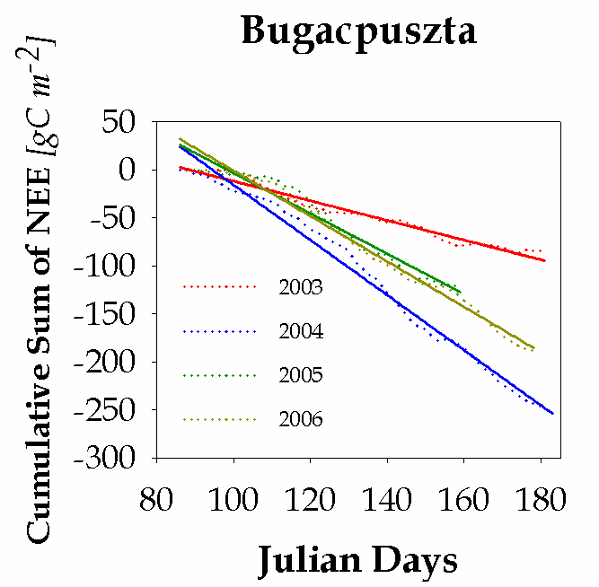 Nyelő aktivitás - Az NEE-összeg évek közötti variabilitását a