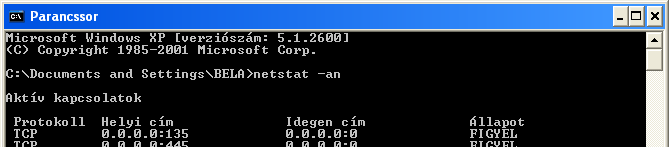 Netstat an