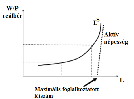 10.2 ábra: A munkakínálat és a reálbér kapcsolata, munkakínálati függvény Forrás: Saját szerkesztés 10.3.