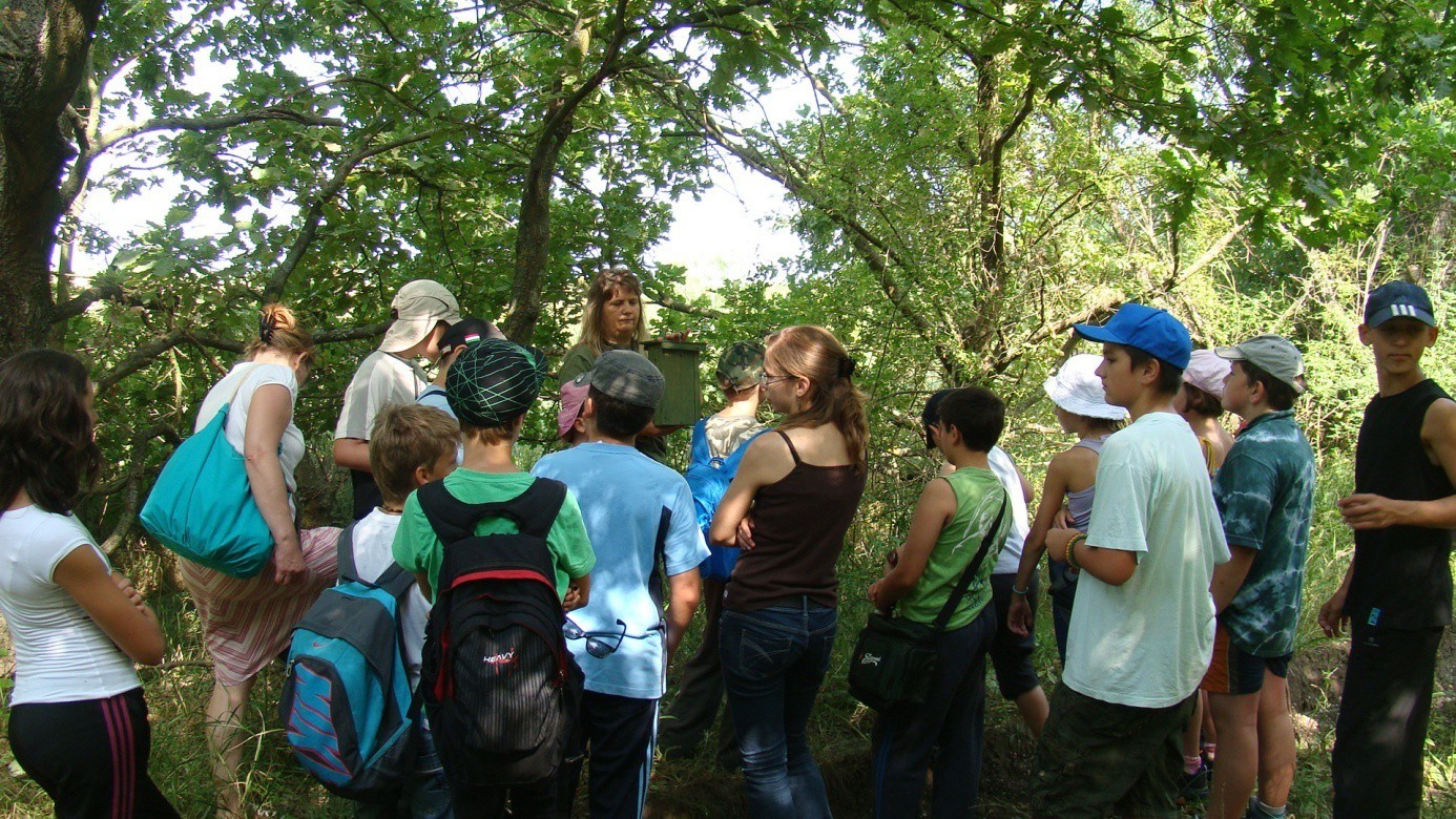 X. Réhelyi Természetvédelmi Tábor