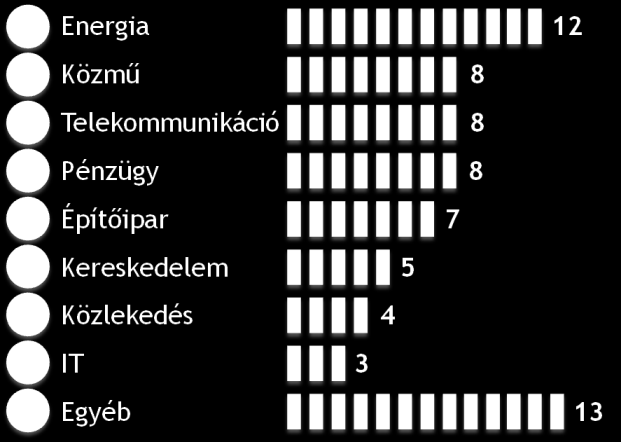 tanulmányok Több mint 10 iparág alapos ismerete 70 projekt tapasztalata Makro egyensúly és