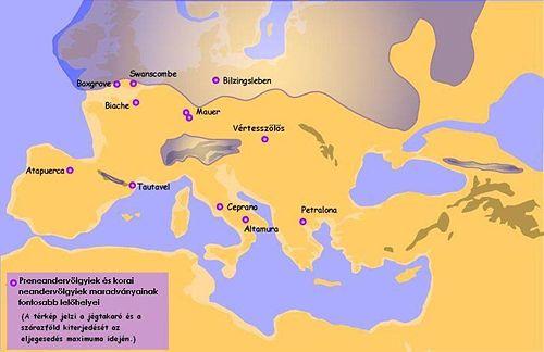 HOMO SAPIENS 2 NEANDERVÖLGYI