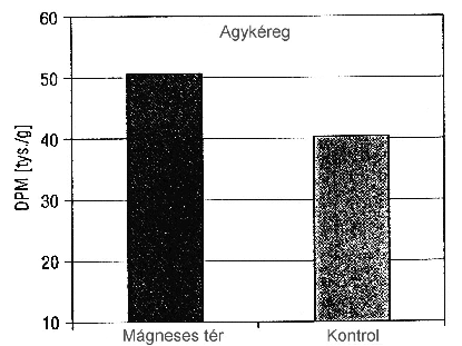 szerint).