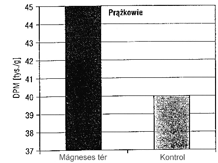 összehasonlítása mágneses térben exponált