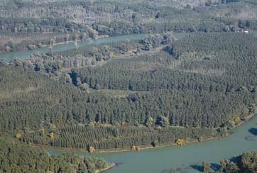 Erdészeti és természetvédelmi munkavállalók iskolázása külföldi tanulmányiutakon, ártéri ligeterdős védett területeken: Donau- Auen Nemzeti Park (Ausztria), Morava és Dyje völgye