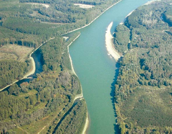 Fotó: Z. Fűzfa. (www.pisztrangkor.hu) Természeti feltételek Duna menti ligeterdők síkságon terülnek el, de néhány méteres magasságon belül gazdagon tagolt a felszín.
