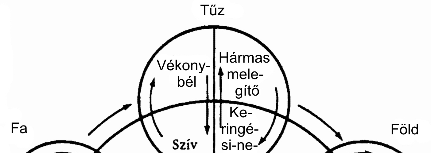 9. ábra. Az öt elem: a sen és a ko ciklus Két ciklus van, a sen és a ko.