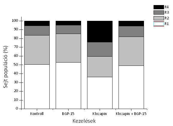 12. ábra: BGP-15 hatása a klozapin kezelés által indukált zsírhalmozódásra 3T3-L1 sejtekben.a sejtek tenyésztése és kezelése a módszereknél leírt módon történt.