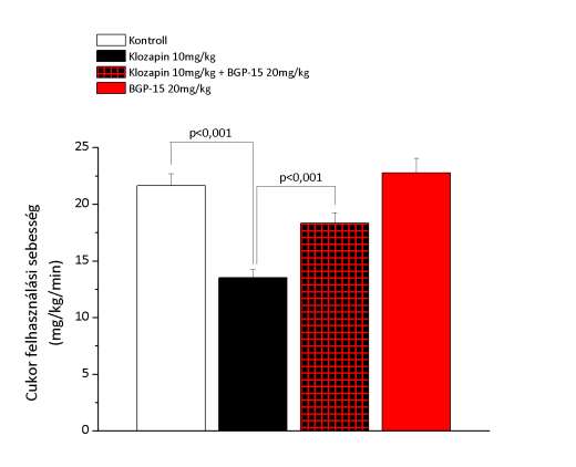 16. ábra: BGP-15 kezelés hatása krónikus klozapin kezelés által indukált inzulin rezisztenciára patkányon. Az állatok kezelése a módszereknél leírt módon történt.
