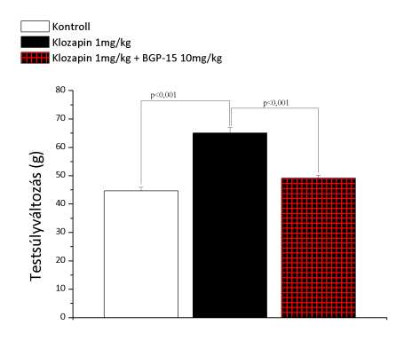 17. ábra: 35 napig tartó klozapin; klozapin + BGP-15 kombináció kezelés hatása a testsúlynövekedésre patkányban. Az állatok kezelése a módszereknél leírt módon történt.