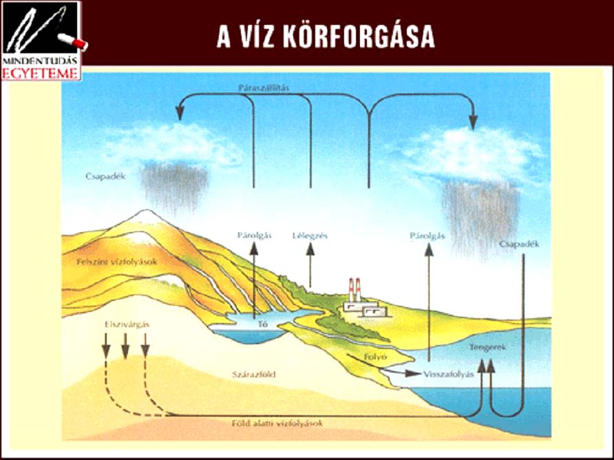 páraszállítás csapadék párolgás lélegzés párolgás csapadék felszíni lefolyás