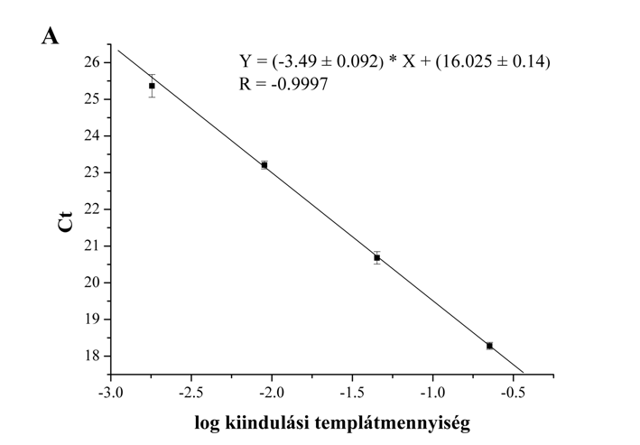 14. ábra Kalibrálóegyenesek a β-aktin (A) és a humán tripszinogén 4 (B) mrns mennyiségének meghatározásához.