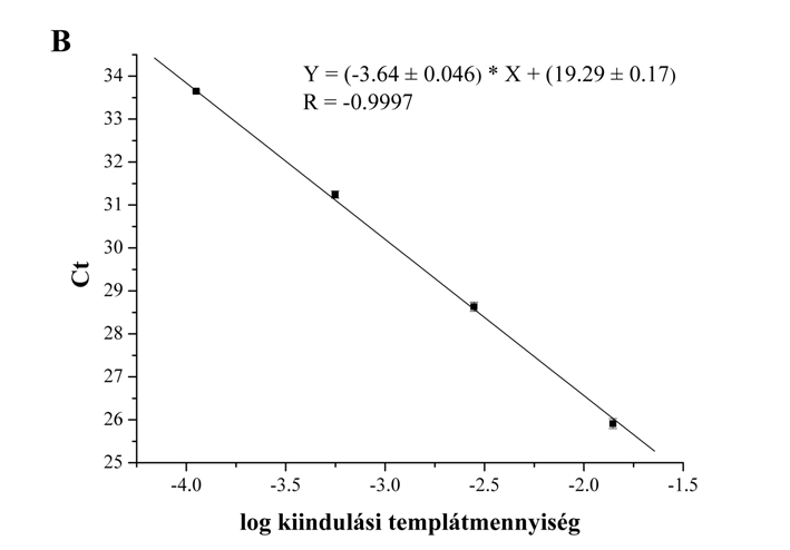 Minden pont 3 párhuzamos mérés átlagát és hibáját reprezentálja. Ct: az a PCR ciklusszám, ami alatt a normalizált fluoreszcencia intenzitás változás ( Rn) eléri a küszöbértéket.