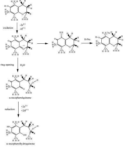 alapja, hogy a kromán gyűrű hidroxil-csoportjának hidrogénje könnyen semlegesíti a szabad gyököket. Ezzel a reakcióval egy stabilabb tokoferoxil-gyök keletkezik.
