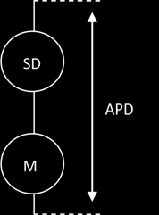 ábra A QRST integráltérképek és a hozzátartozó NDI számításának folyamata a szív- és testmodell felhasználásával. EREDMÉNYEK 3.