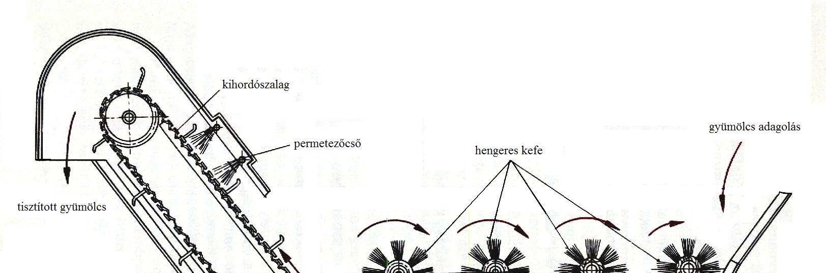 Vízpermetezéssel, amikor a rekeszben levı gyümölcsöt egy szállítószalagra helyezzük, és menet közben szórózsából vizet permetezünk rá. Gyümölcsmosó kádakat nagyobb üzemekben alkalmaznak.