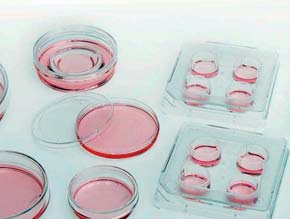 DNA vagy PCR munkákhoz.