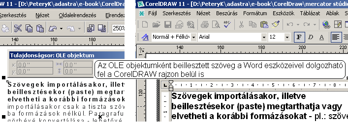 megtarthatjuk a szöveg eredeti forrásdokumentum-beli formázásait (lásd az 1-8. ábrát).