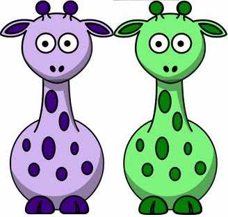 vagy: Both giraffes are strange. vagy: Both the giraffes are strange. (Mindkét zsiráf furcsa.