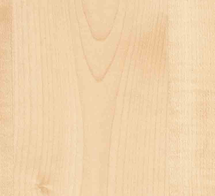 Elegant Roxy Elegant 658 Caucasian Birch Kaukasische Birke Kaukázusi Nyír 443
