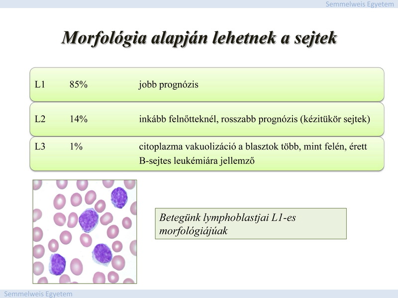 vizsgálatok történnek a csontvelőből?