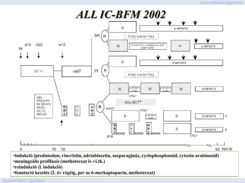 ábra), ismertetik az immunológiai markereket valamint a genetikai eltéréseket (16.