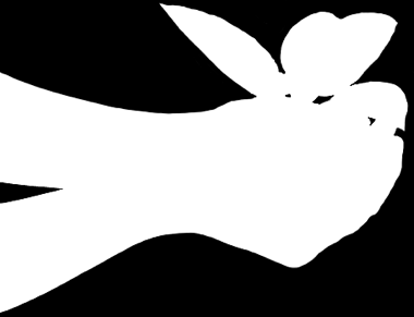 Hungary T