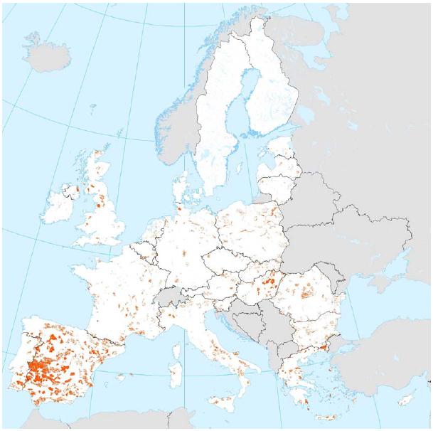 Egy adott IBA terület nemzetközi jelentőségét betűvel jelölik (A- világjelentőségű, B-európai jelentőségű, és C-Európai Uniós jelentőségű fajok).