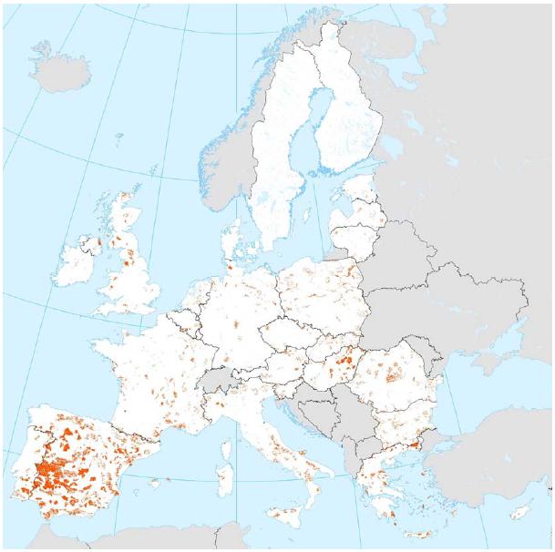Egy adott IBA terület nemzetközi jelentőségét betűvel jelölik (A- világjelentőségű, B-európai jelentőségű, és C-Európai Uniós jelentőségű fajok).