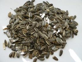 kecske Olajos