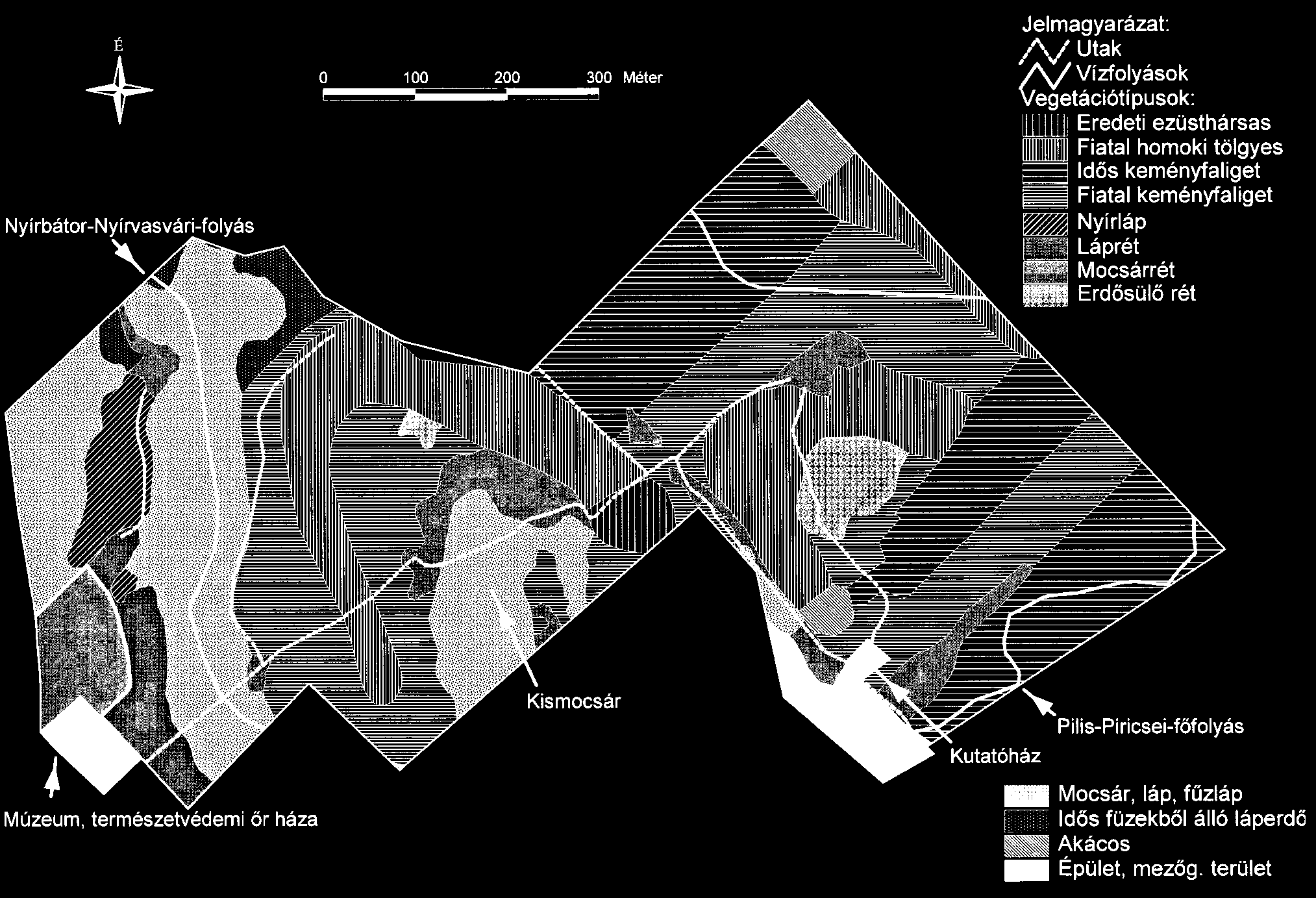 1. térkép A Bátorligeti Õsláp TT vegetációtérképe 1989-bõl (STANDOVÁR és TÓTH alapján) Map 1.