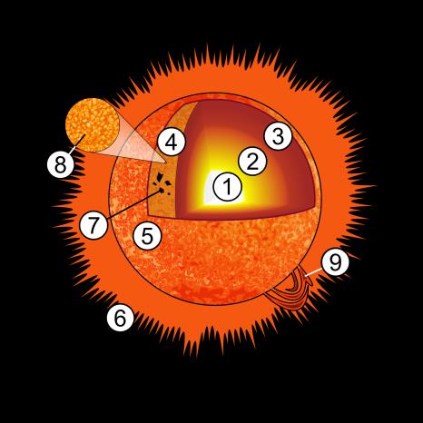 A Nap szerkezete Gömbhéjas szerkezet! 1. Mag: 15 millió o C, termonukleáris folyamatok (napreaktor) 2. Röntgensugárzási zóna 3. Áramlási zóna 4-6. Légkör 4.