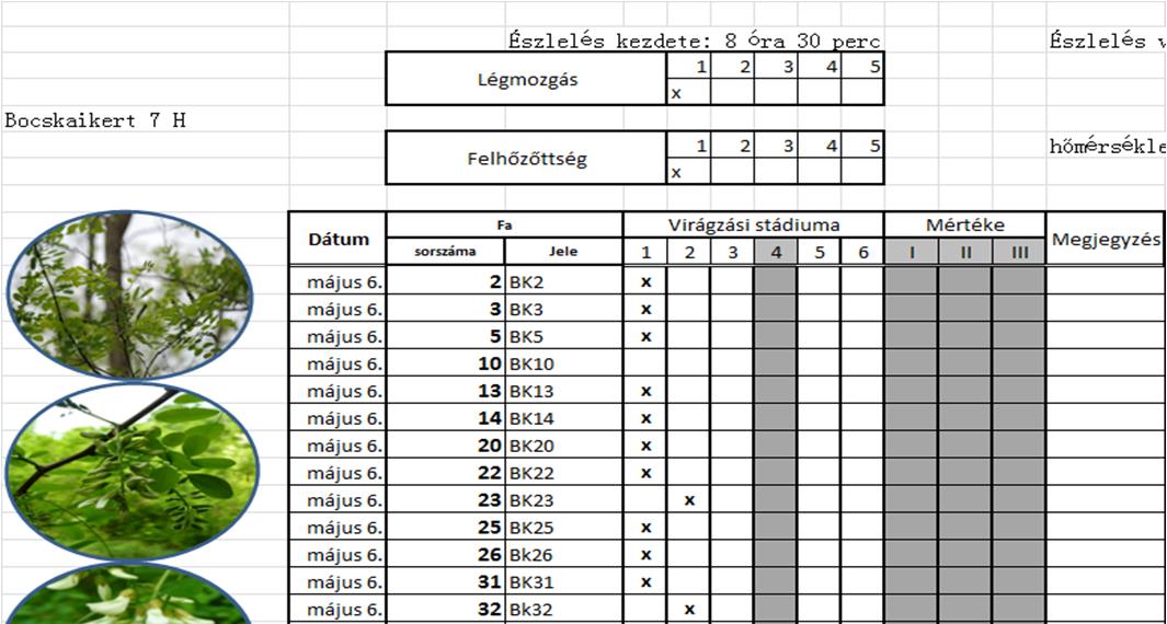 tulajdonságairól.
